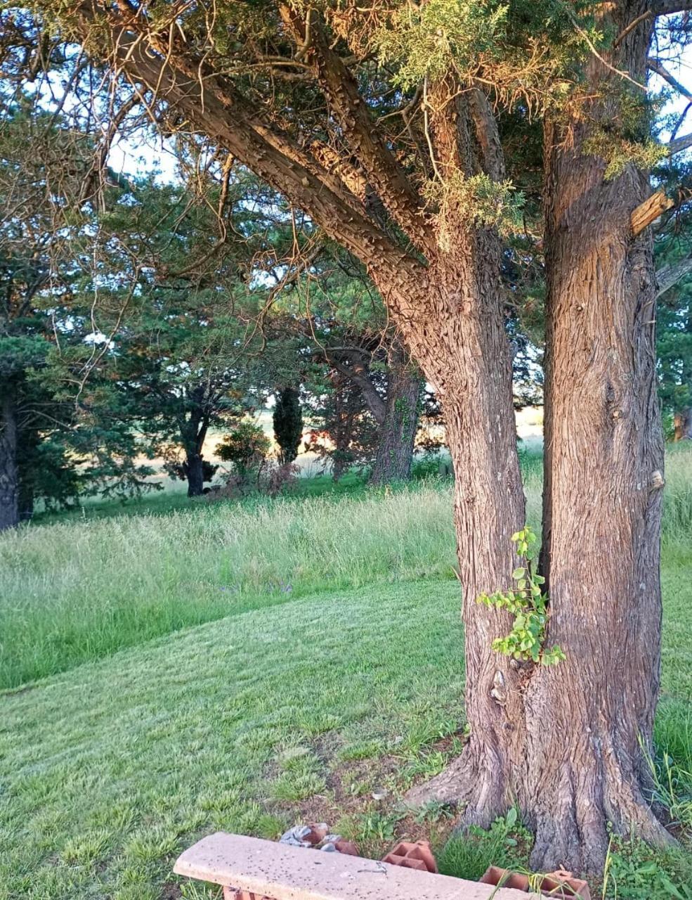 Casa De Campo El Duraznillo Tandil Exteriér fotografie